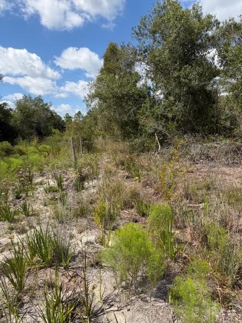 TEE & GRN ESTATES 1ST ADD - Land