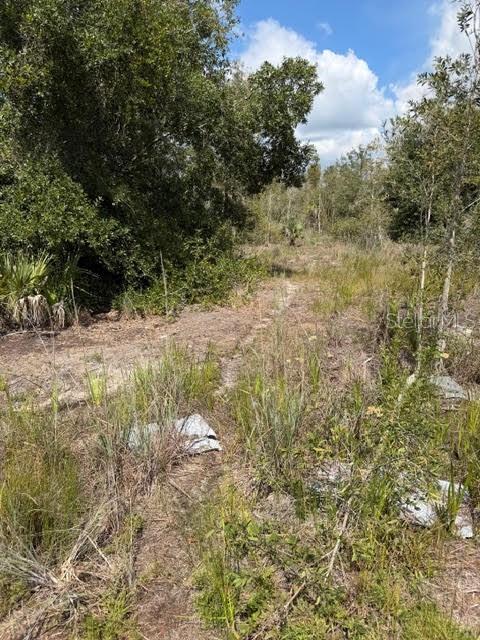 TEE & GRN ESTATES 1ST ADD - Land