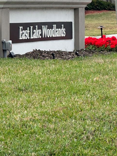 106 MARY DRIVE 106 OLDSMAR FL 34677