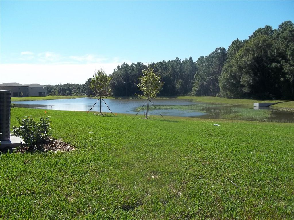 Photo of 20014 Date Palm Way, Tampa, FL 33647 (MLS # TB8442587)