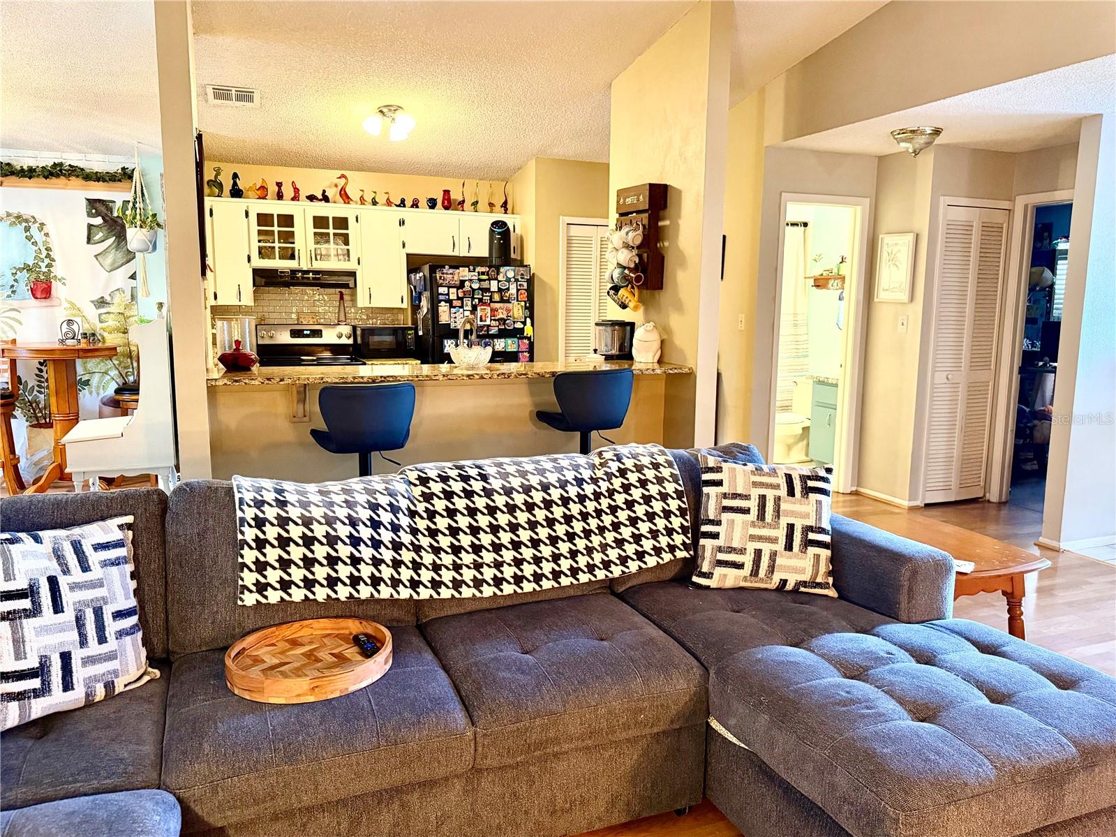 1564 COUGAR COURT