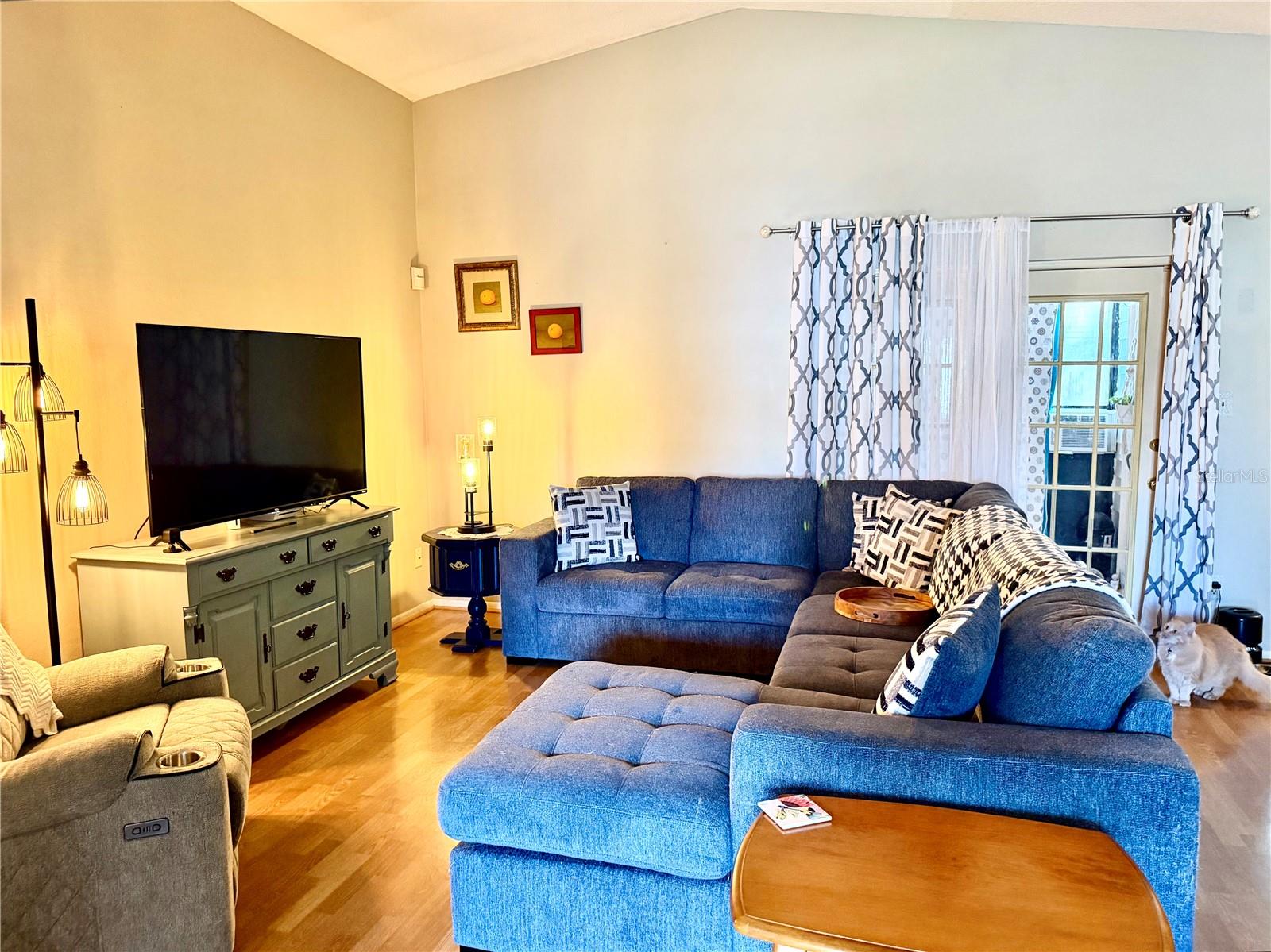 1564 COUGAR COURT