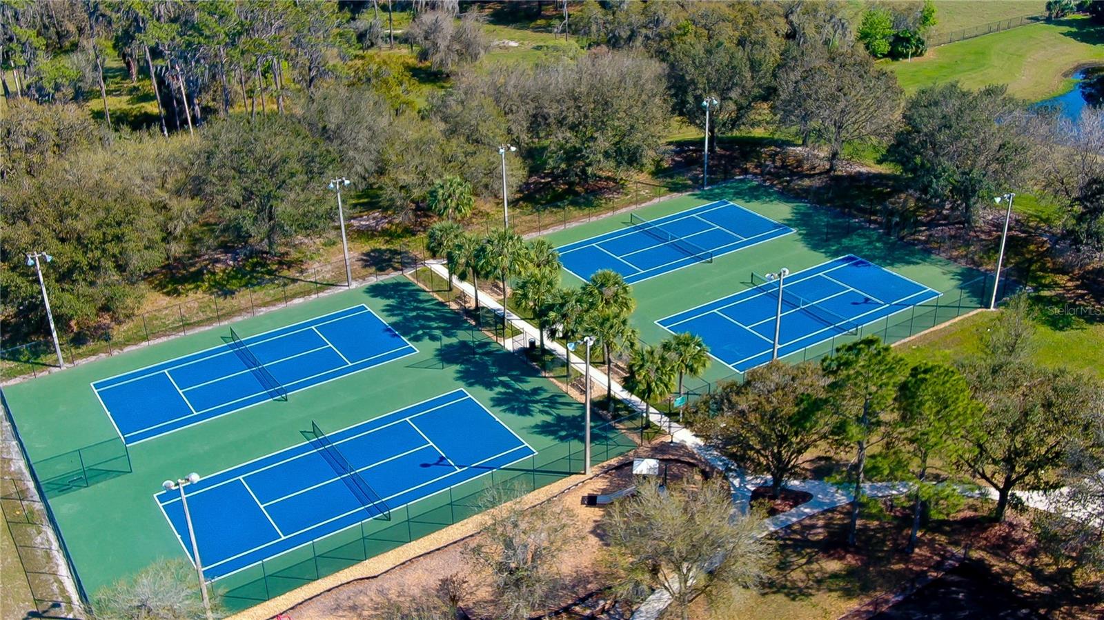 FISH HAWK TRAILS - Residential