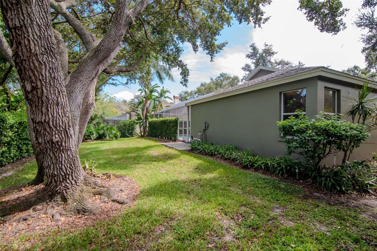 HOMESTEAD OAKS SUB - Residential