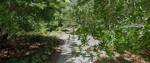 Tiny photo for 0 NW 14th, Ocala, FL 34482 (MLS # D6148596)
