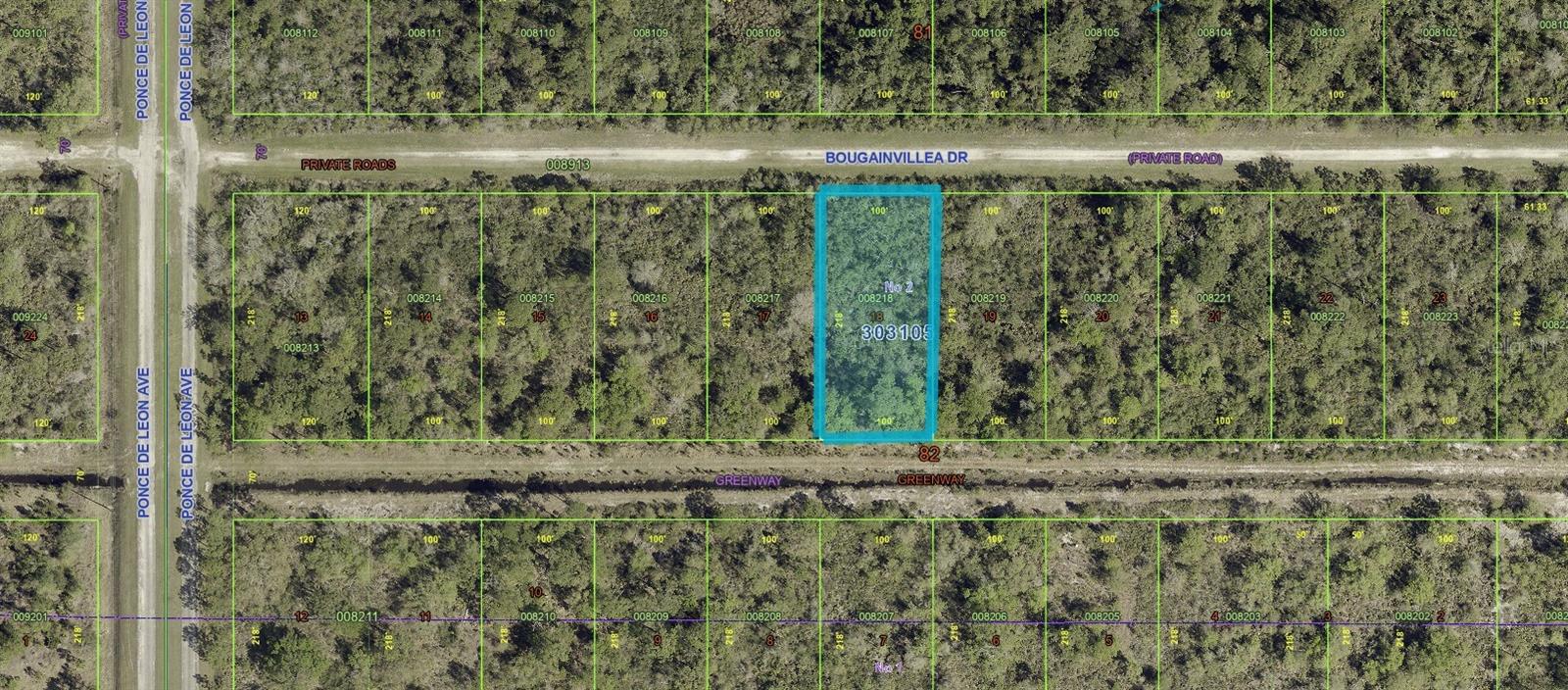 313 BOUGAINVILLE DRIVE