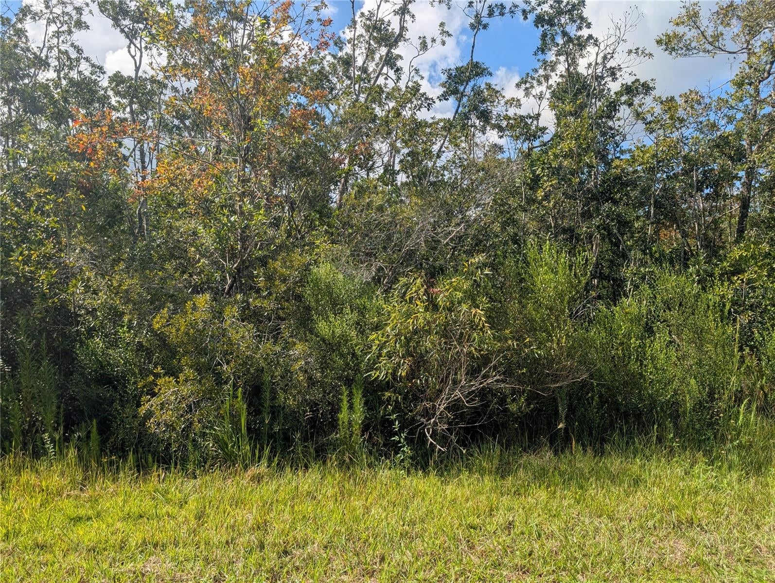 313 BOUGAINVILLE DRIVE