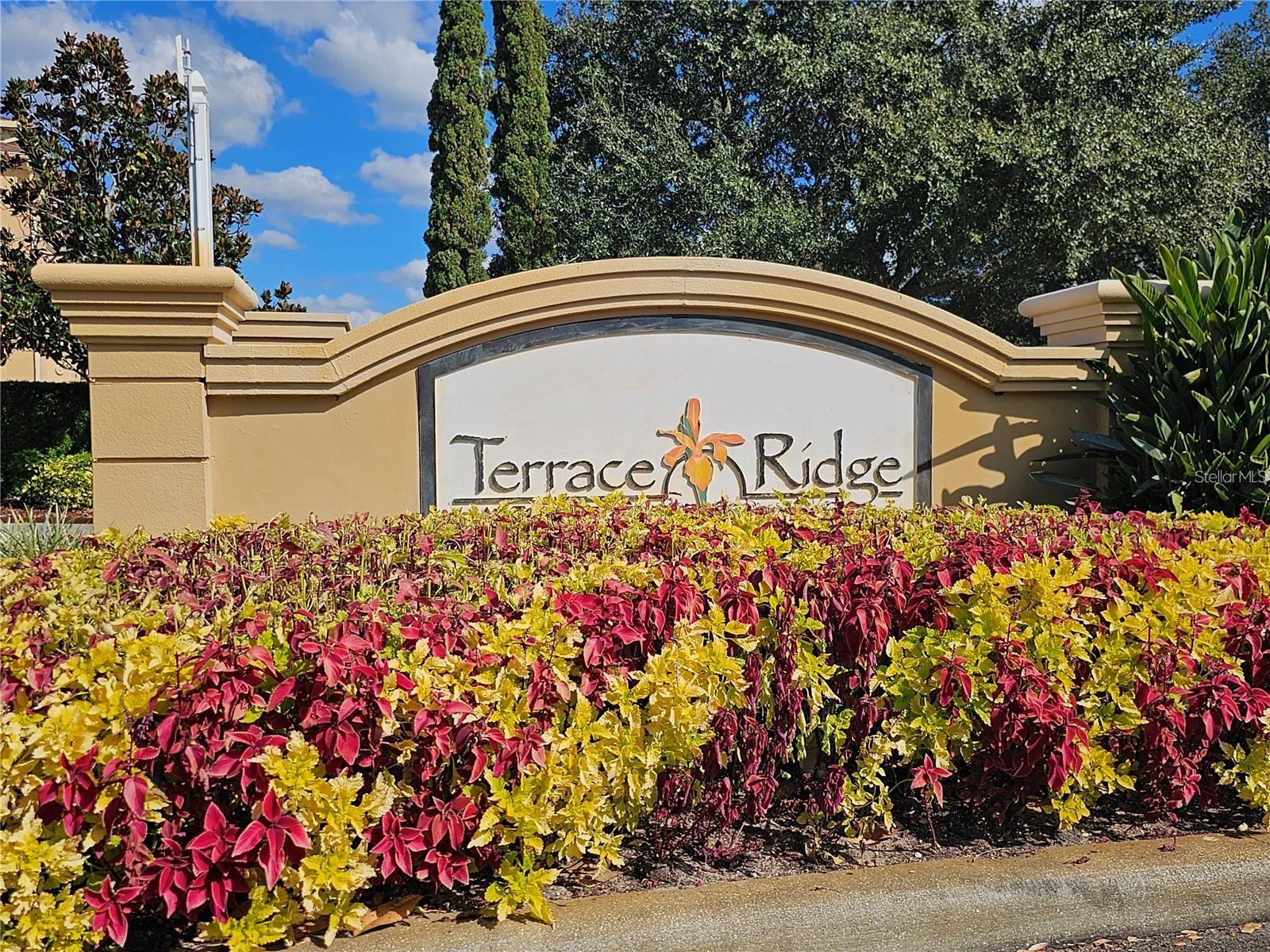 TERRACE RIDGE AT TOWN CENTER EAST CONDO - Residential