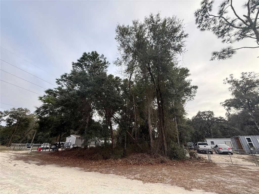 Photo of SE 147 Place, Summerfield, FL 34491 (MLS # OM716595)