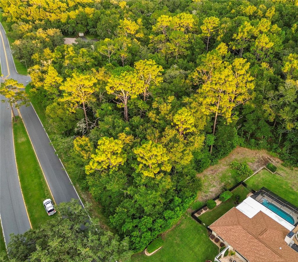 Photo of 1974 W Country Club Boulevard, Citrus Springs, FL 34434 (MLS # OM705423)