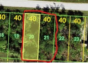 DOUBLE LOT in Flood zone D, no Flood insurance needed here. Two lots are being offered together 27053 and 27057 N Twin Lots20 and 21. This is the perfect location to build your dream home. This building site is located just minutes from historic city of Punta Gorda, shopping Restaurants, I75 and route 41. Ft Myers beach is just a short drive, close to boat launches and some of the best fishing available in the Gulf. Check it out, build your dream home and live the Florida lifestyle, while experiencing everything that SW Florida has to offer!