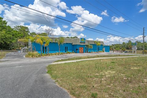 Tiny photo for 299 E Gulf To Lake Highway, Lecanto, FL 34461 (MLS # OM677506)