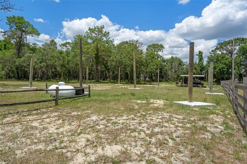 Tiny photo for 299 E Gulf To Lake Highway, Lecanto, FL 34461 (MLS # OM677506)