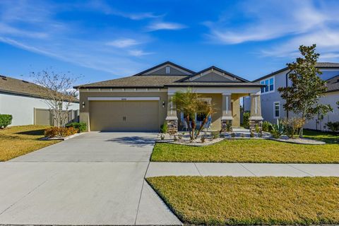 Photo of 18298 Cortes Creek Boulevard, Spring Hill, FL 34610 (MLS # TB8474378)