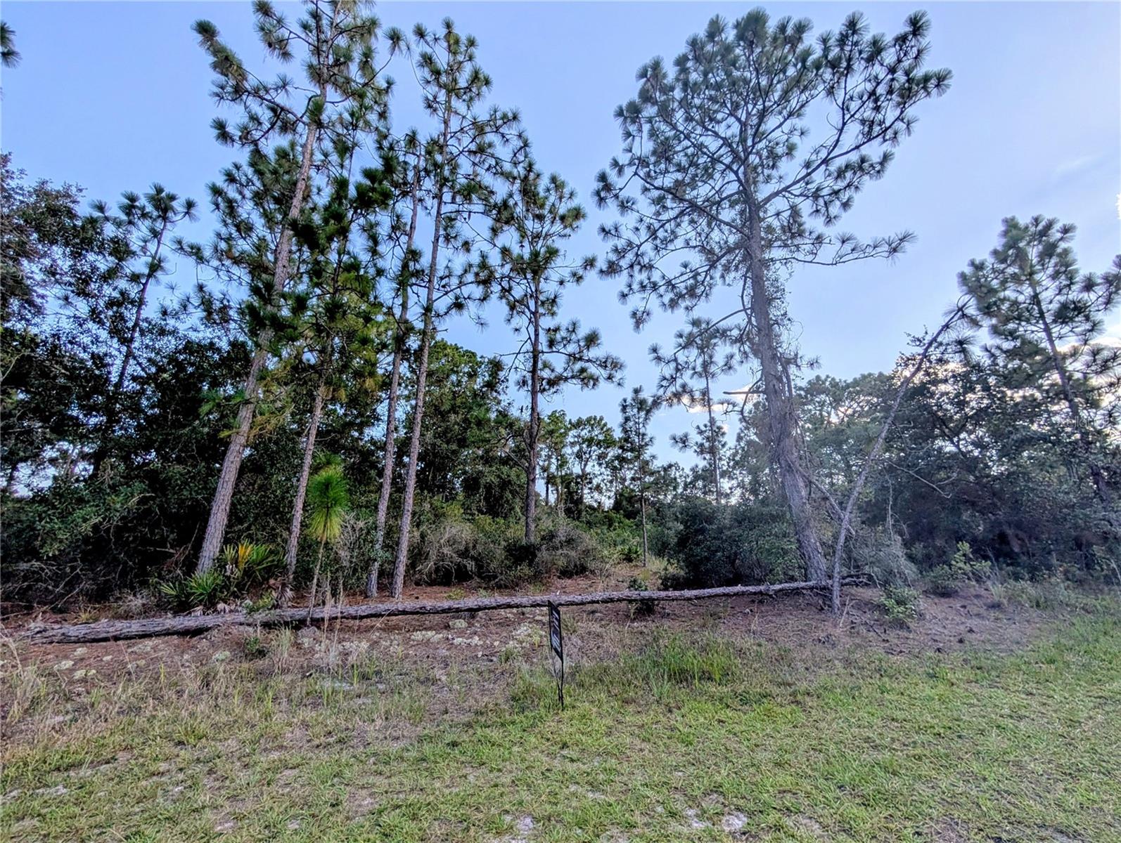 609 INDIAN LAKE DRIVE
