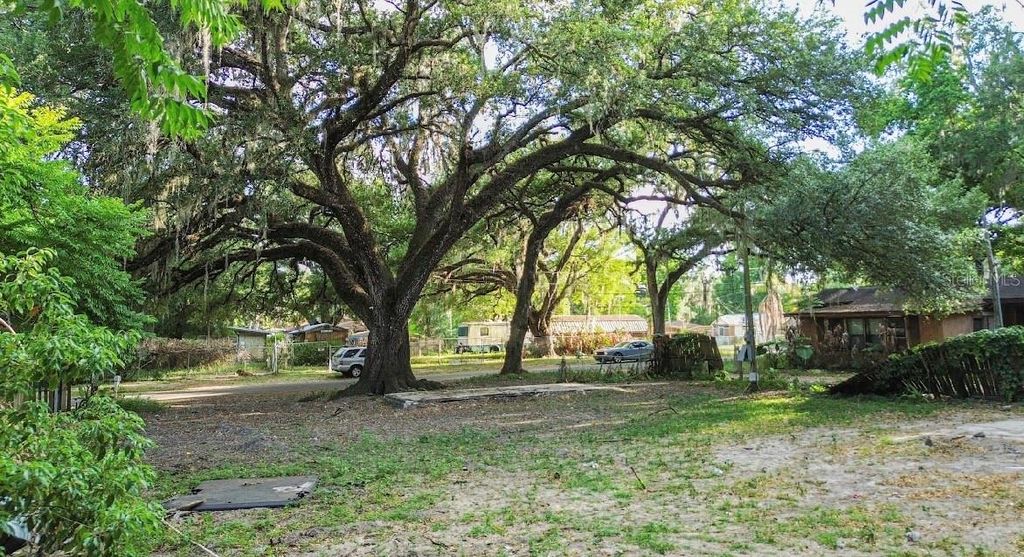 Photo of 38319 Stebbins Avenue, Zephyrhills, FL 33542 (MLS # TB8500866)