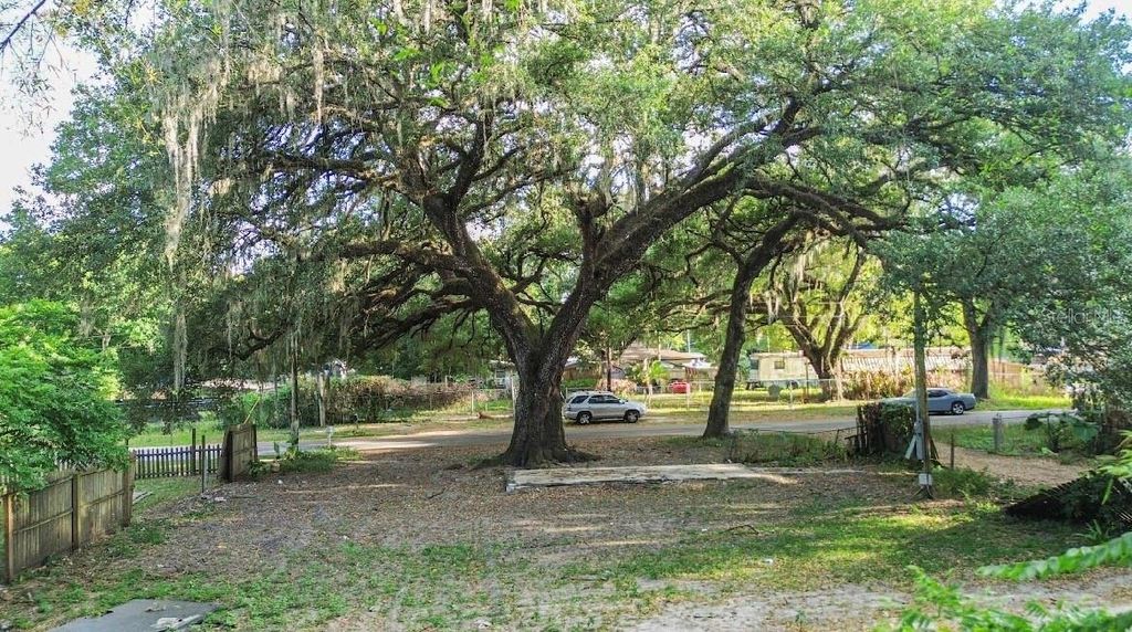 Photo of 38319 Stebbins Avenue, Zephyrhills, FL 33542 (MLS # TB8500866)