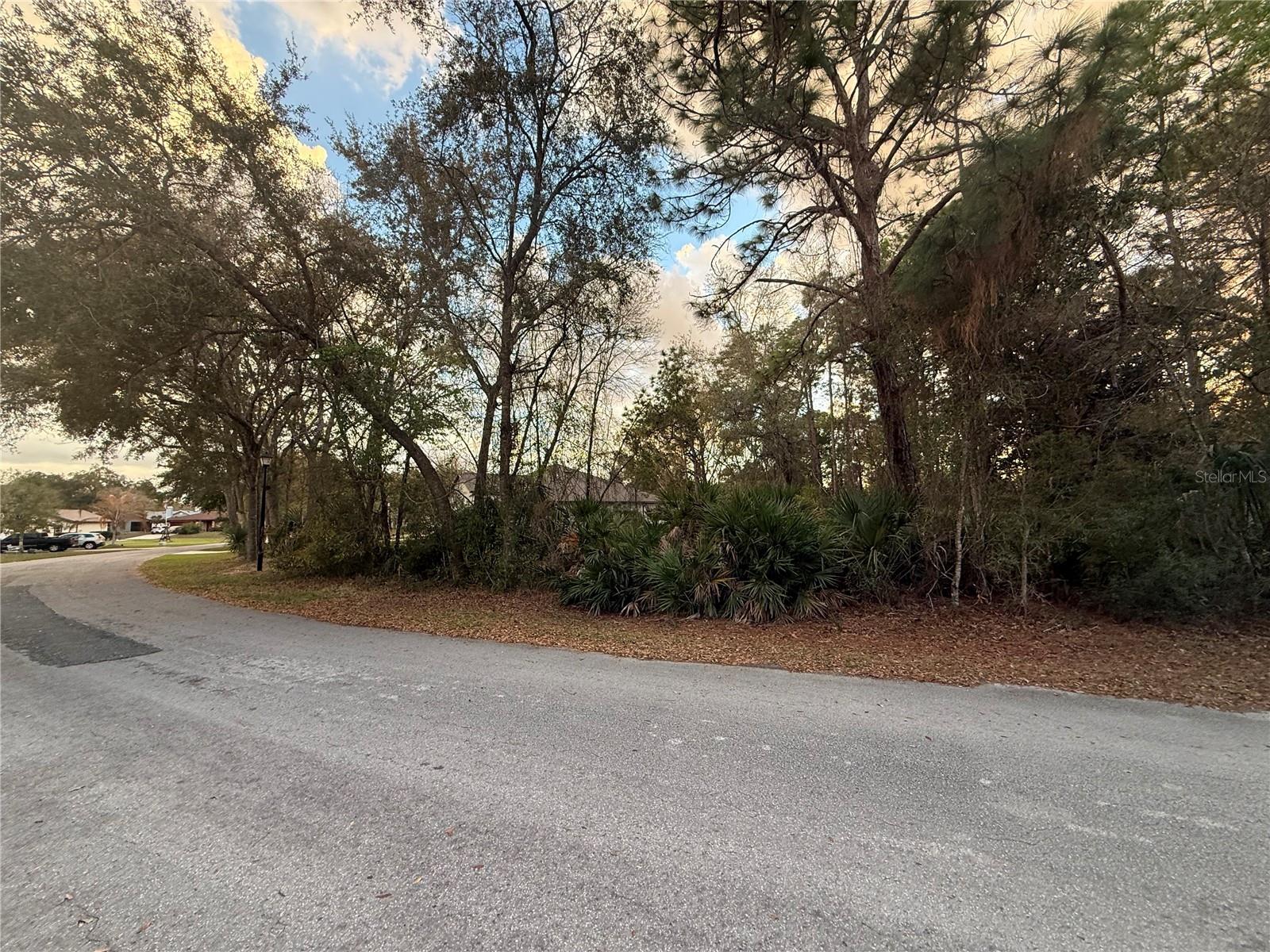 SUGARMILL WOODS CYPRESS VILLAGE - Land