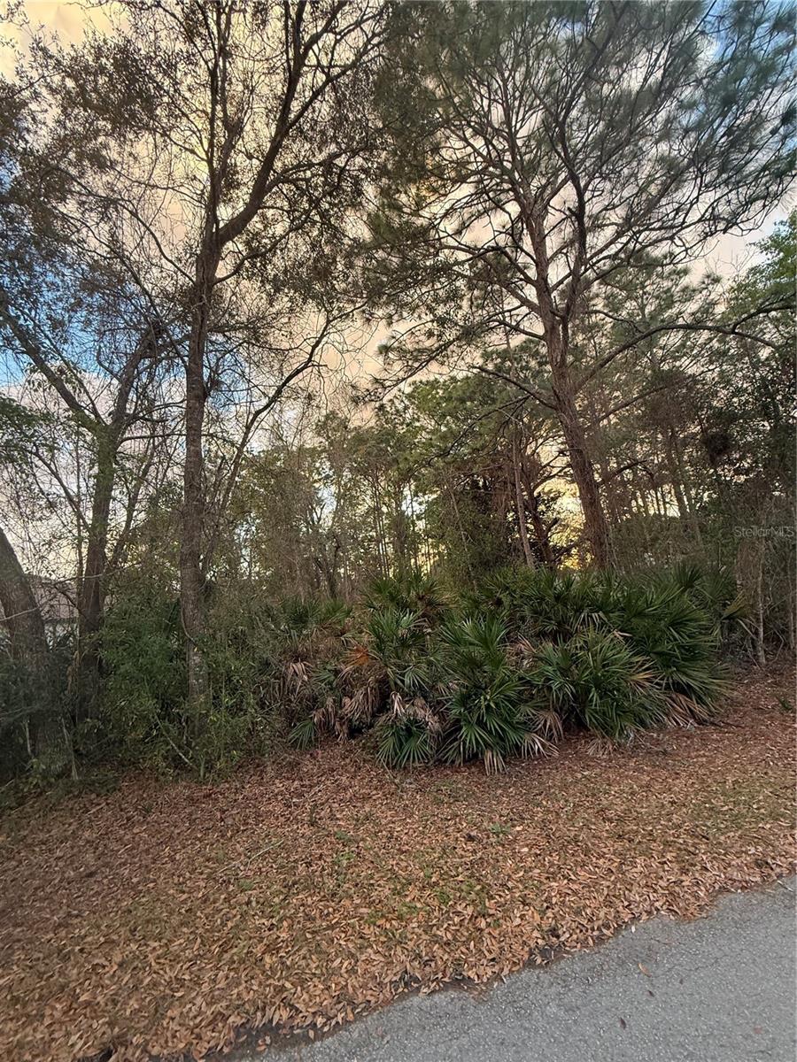 SUGARMILL WOODS CYPRESS VILLAGE - Land