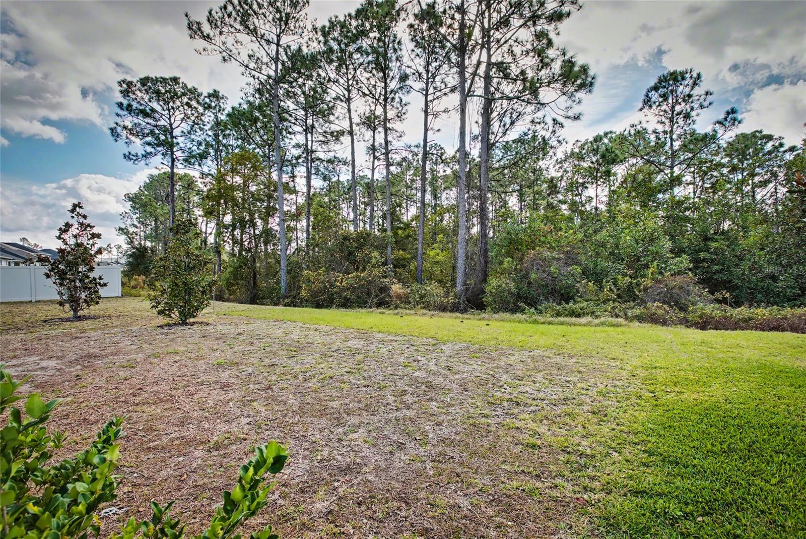 WHITEVIEW VILLAGE - Residential