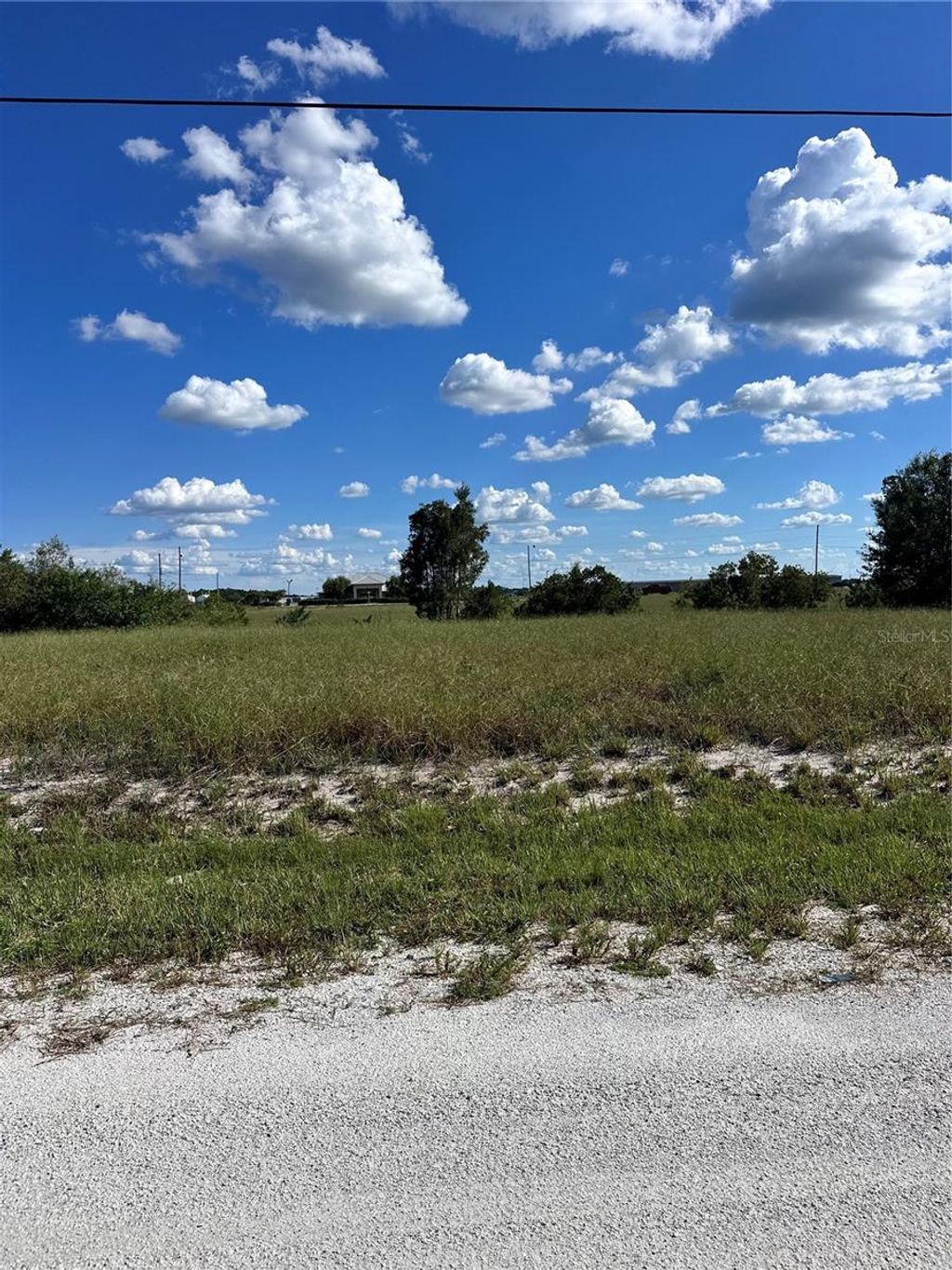Photo of 1669 W Fondulac Rd, Avon Park, FL 33825 (MLS # P4935959)