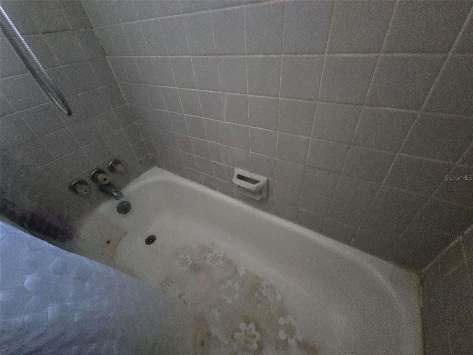 DUNEDIN ISLES ADD - Residential