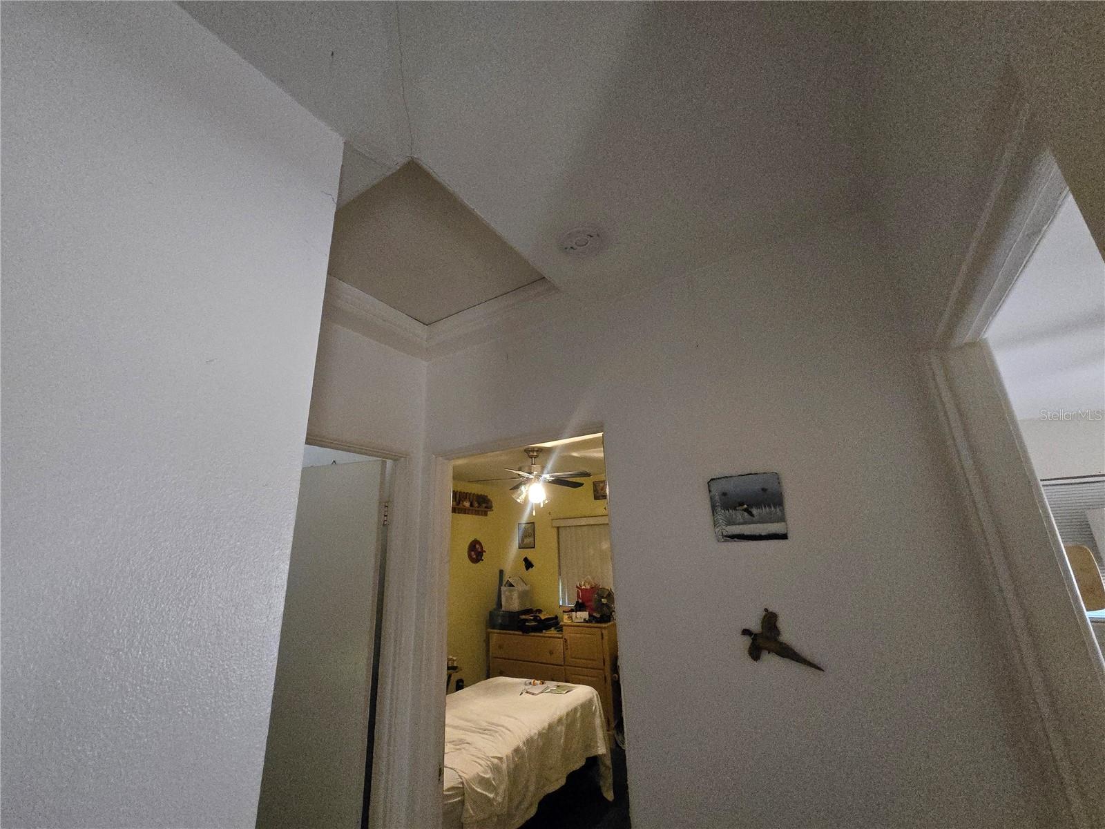 DUNEDIN ISLES ADD - Residential