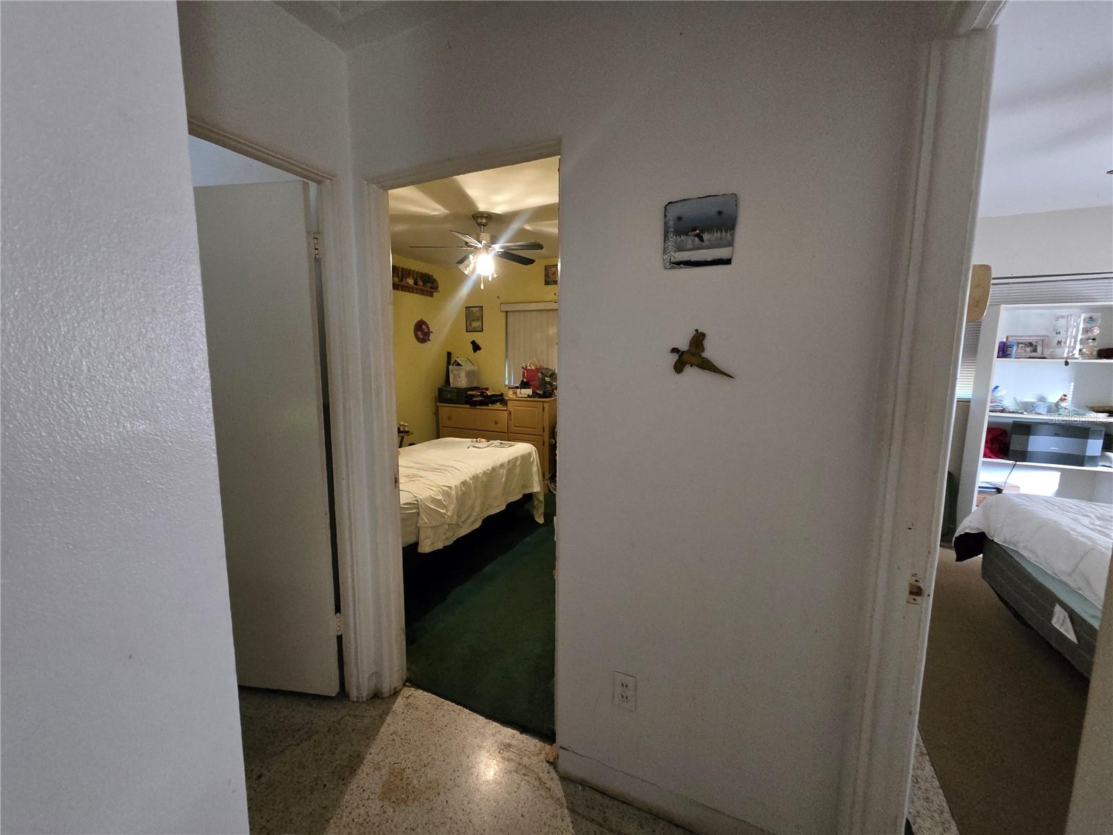 DUNEDIN ISLES ADD - Residential