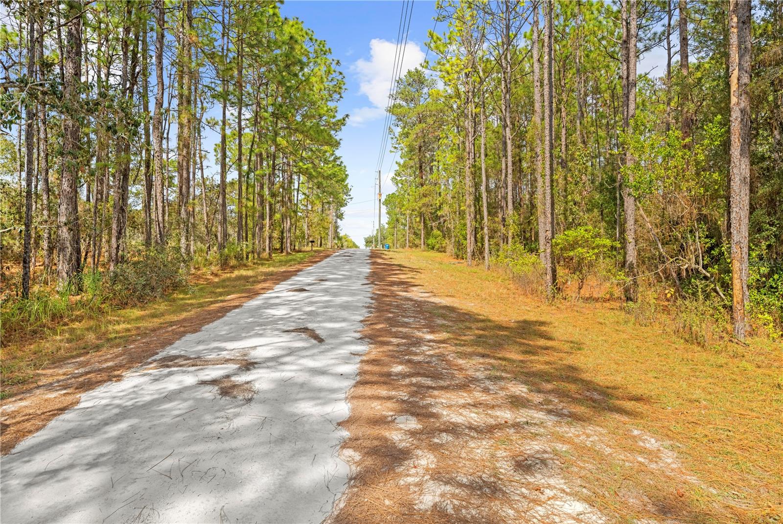 HERNANDO HIGHLANDS UNREC - Land