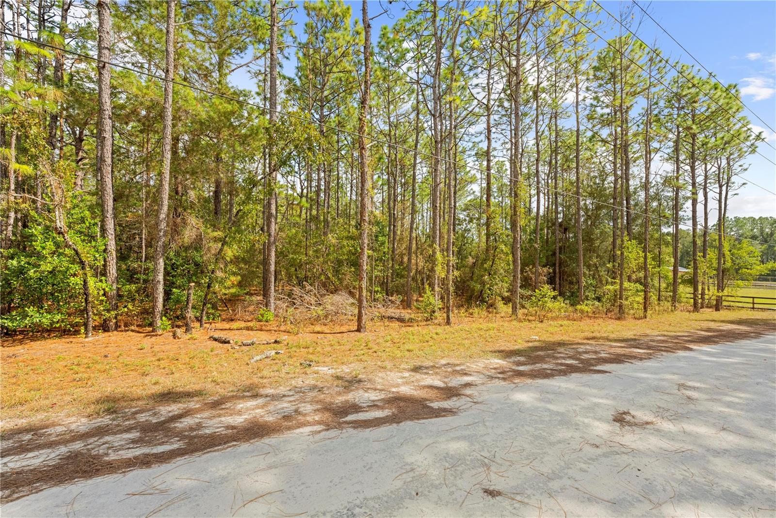 HERNANDO HIGHLANDS UNREC - Land