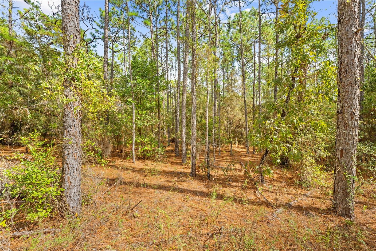 HERNANDO HIGHLANDS UNREC - Land