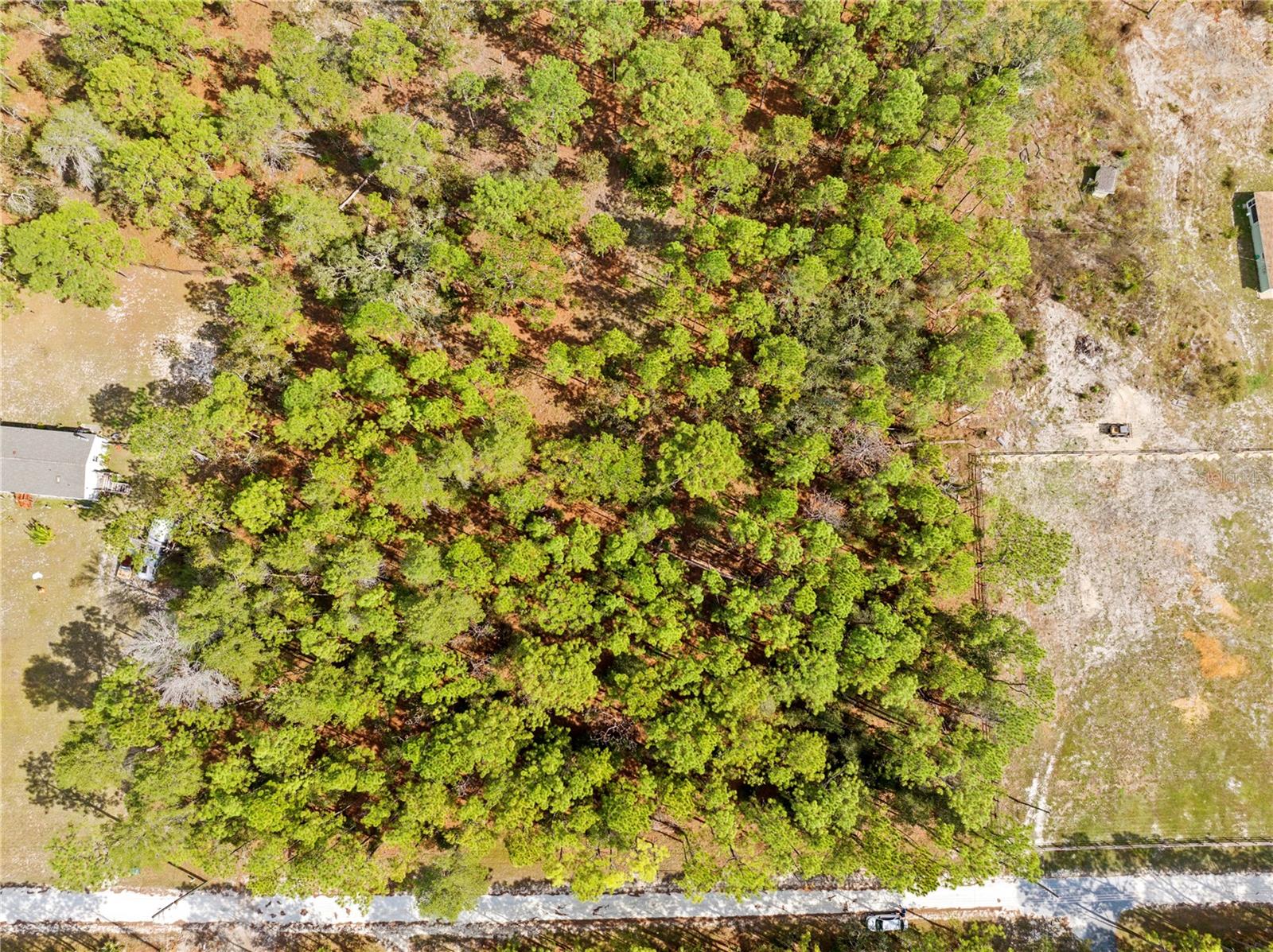 HERNANDO HIGHLANDS UNREC - Land