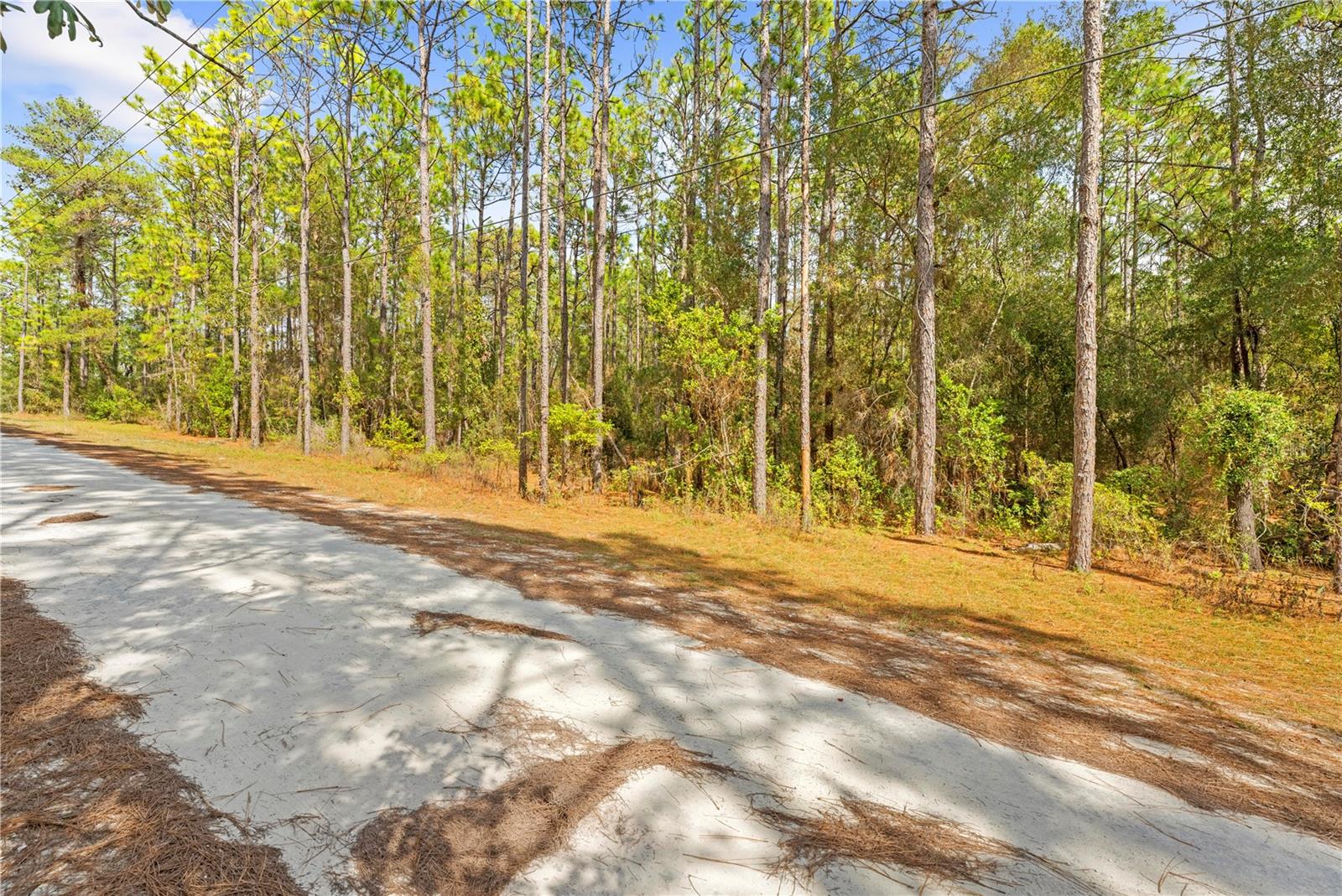 HERNANDO HIGHLANDS UNREC - Land