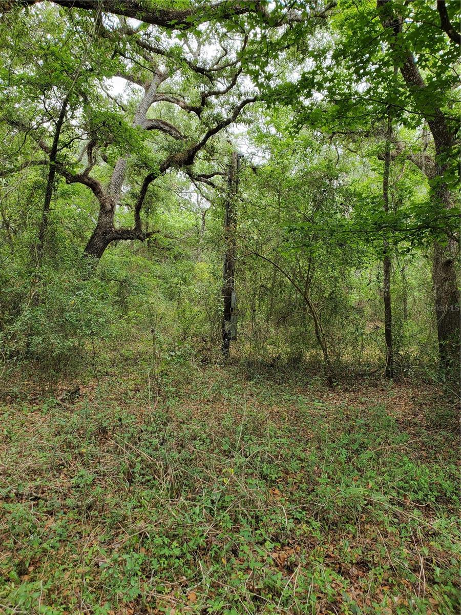 RIDGE RIVER RETREATS - Land