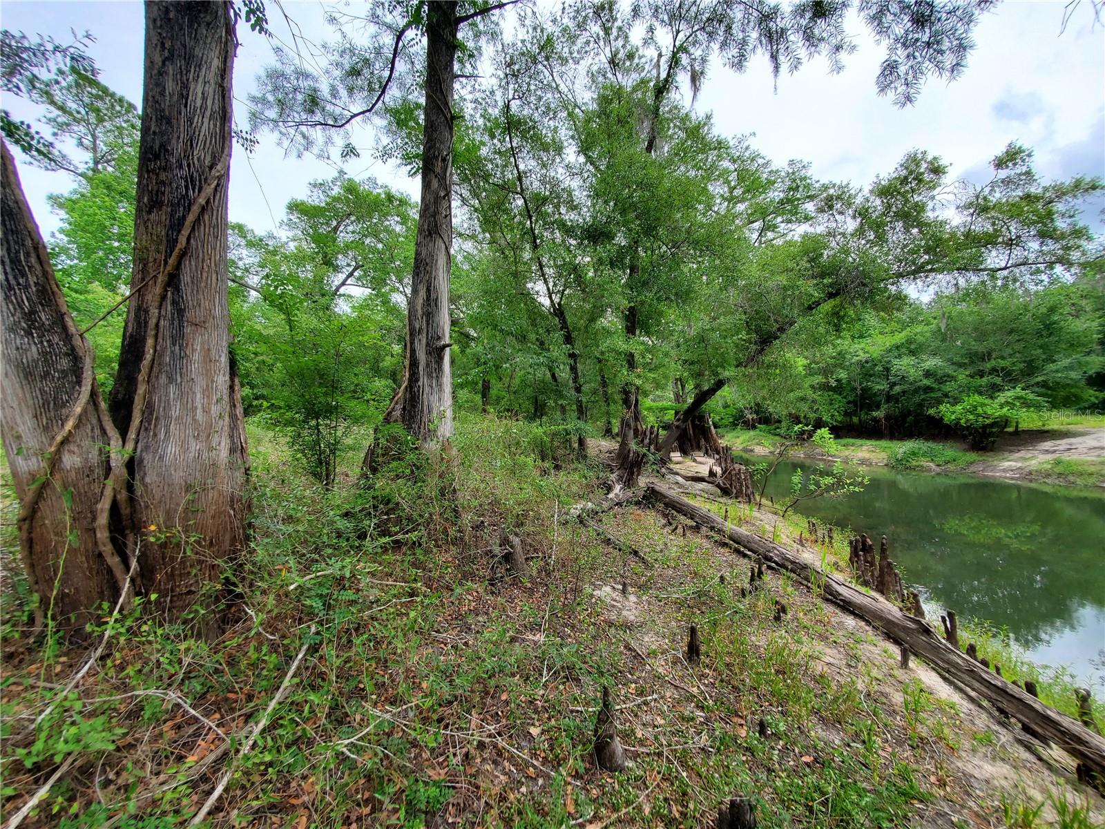 RIDGE RIVER RETREATS - Land