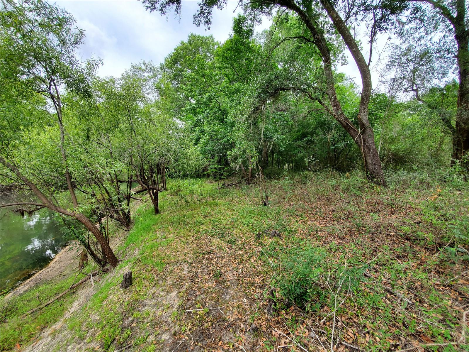 RIDGE RIVER RETREATS - Land