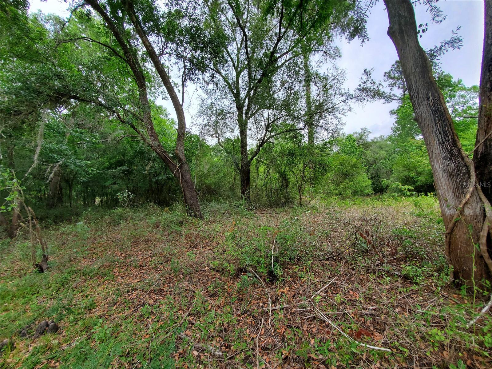 RIDGE RIVER RETREATS - Land