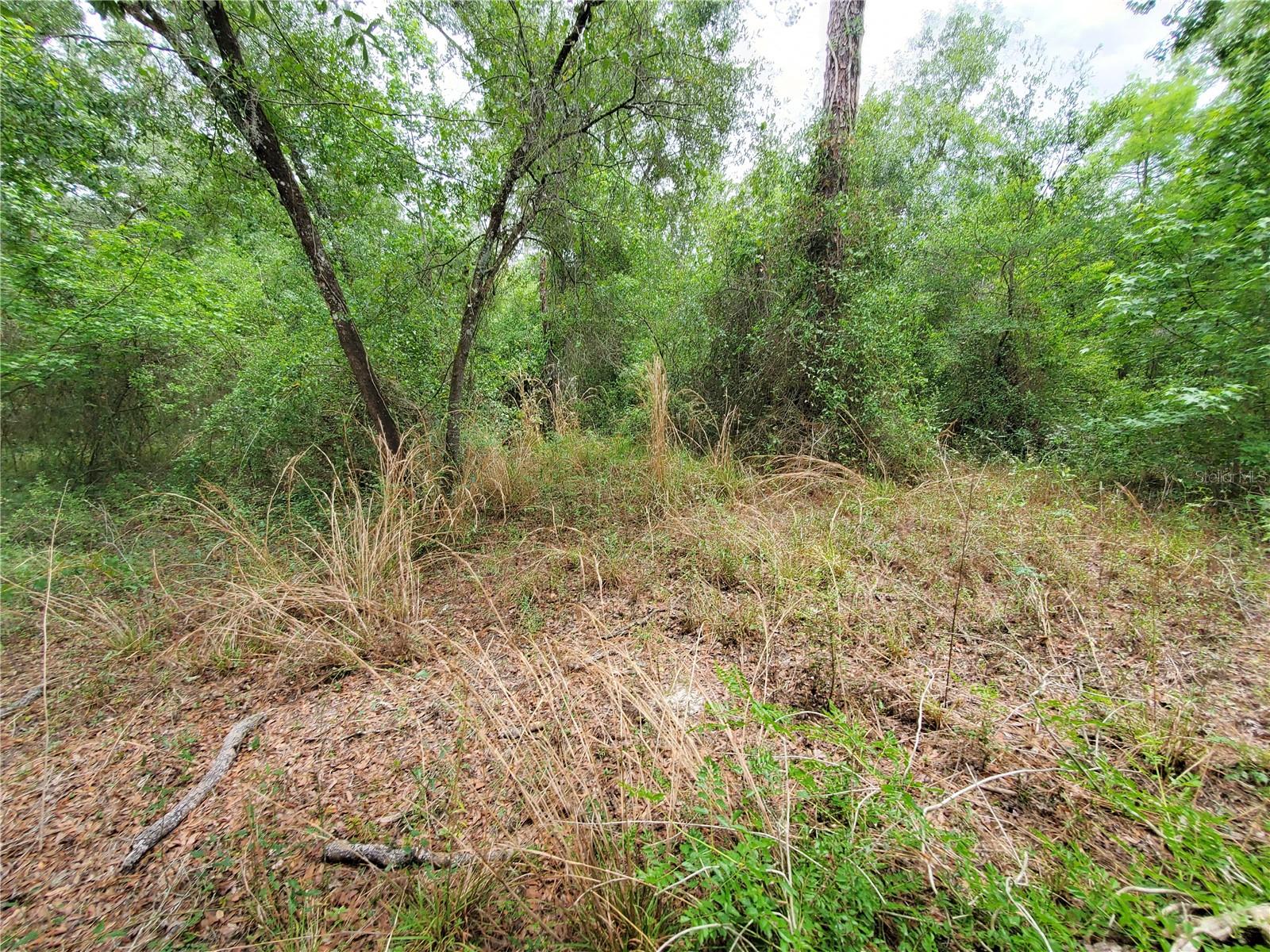 RIDGE RIVER RETREATS - Land