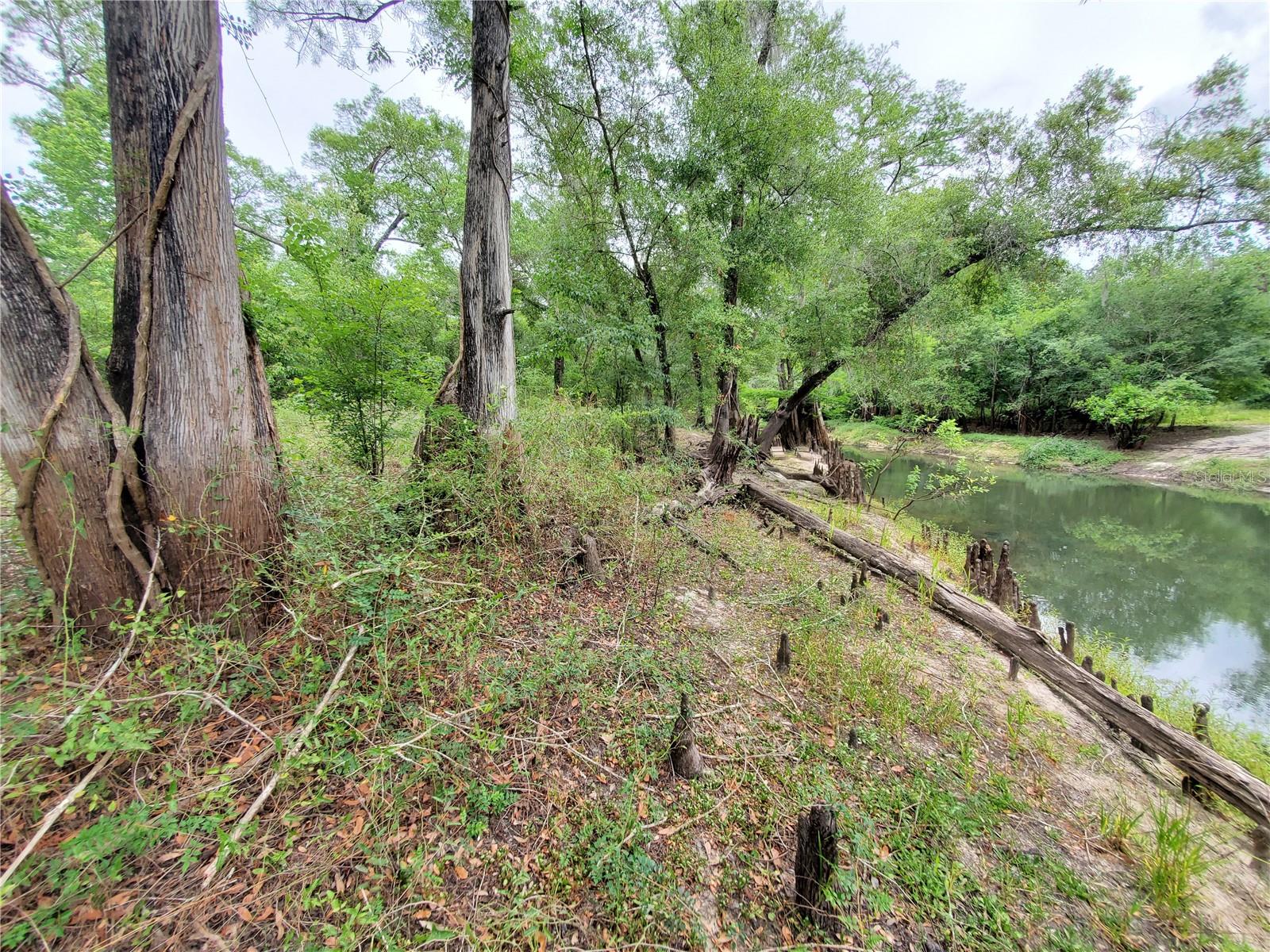 RIDGE RIVER RETREATS - Land