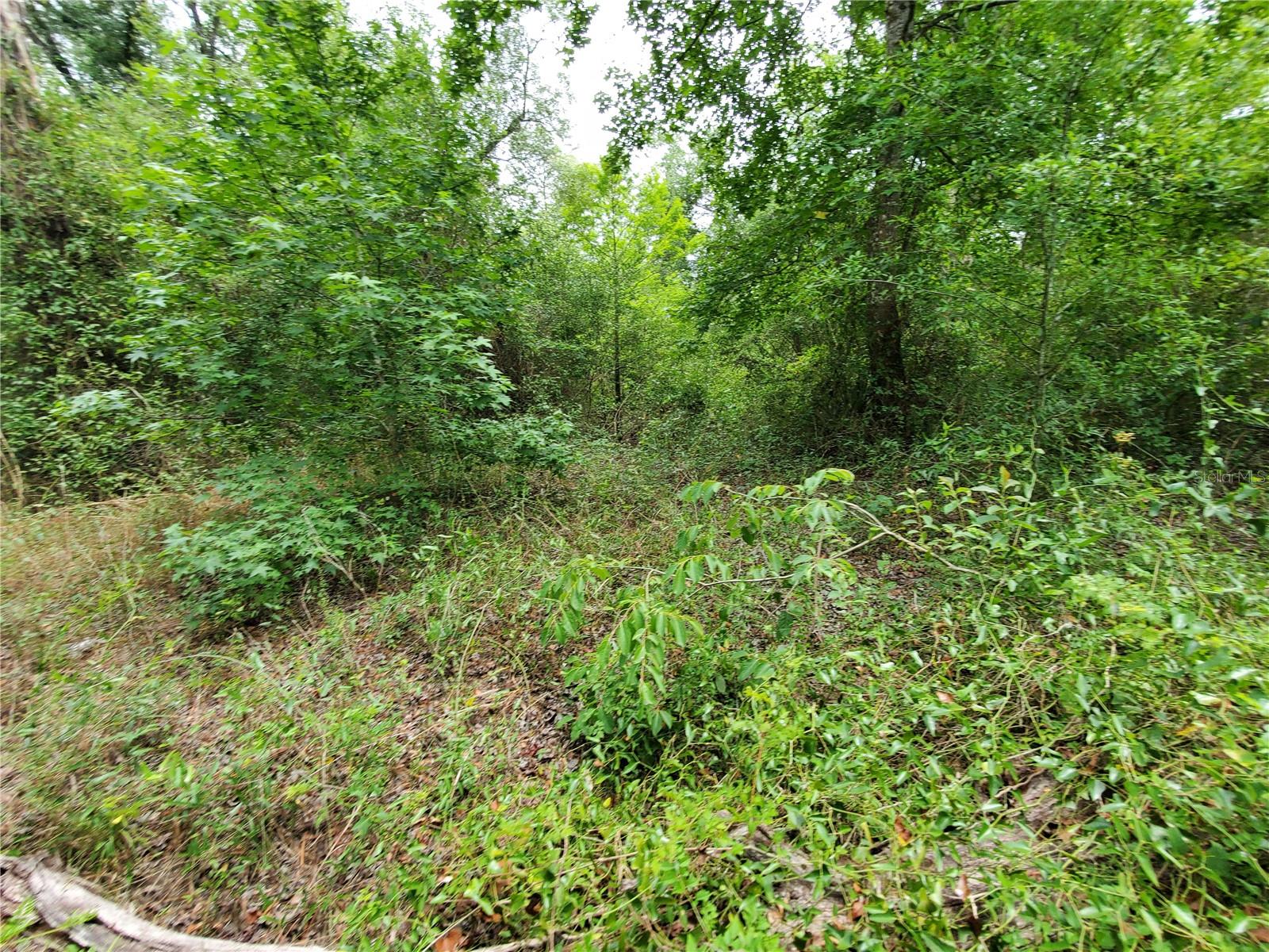 RIDGE RIVER RETREATS - Land