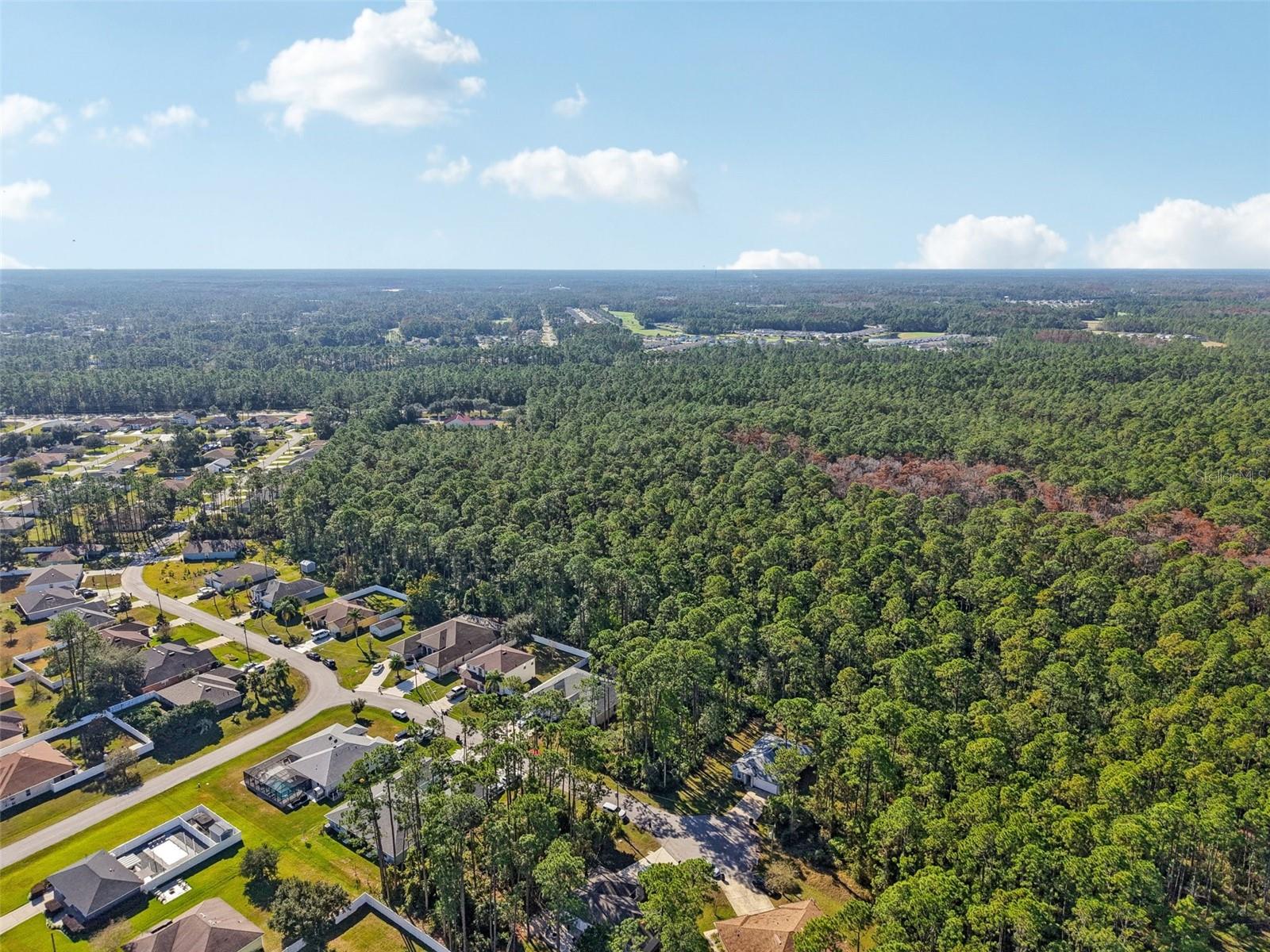 PALM COAST SEC 31 - Land