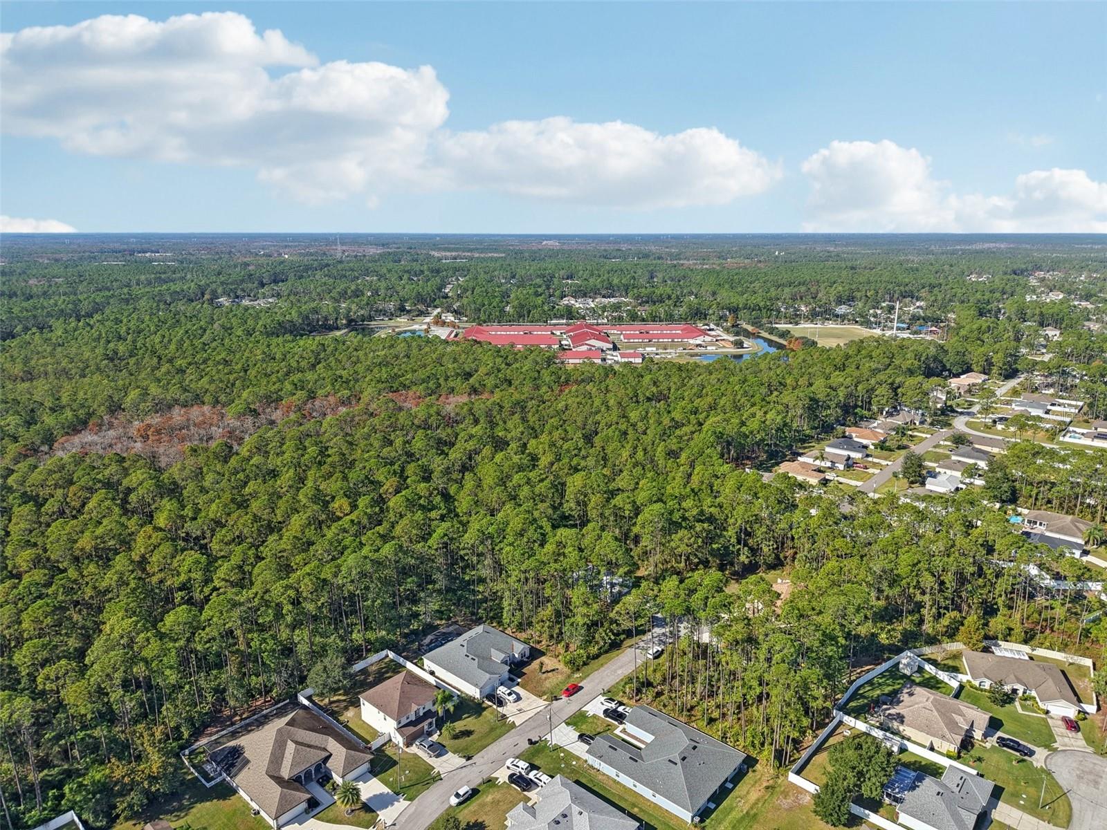 PALM COAST SEC 31 - Land