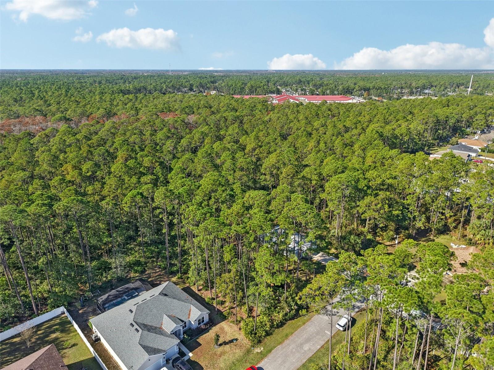 PALM COAST SEC 31 - Land