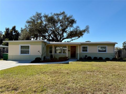 4313 S HUBERT AVENUE TAMPA FL 33611
