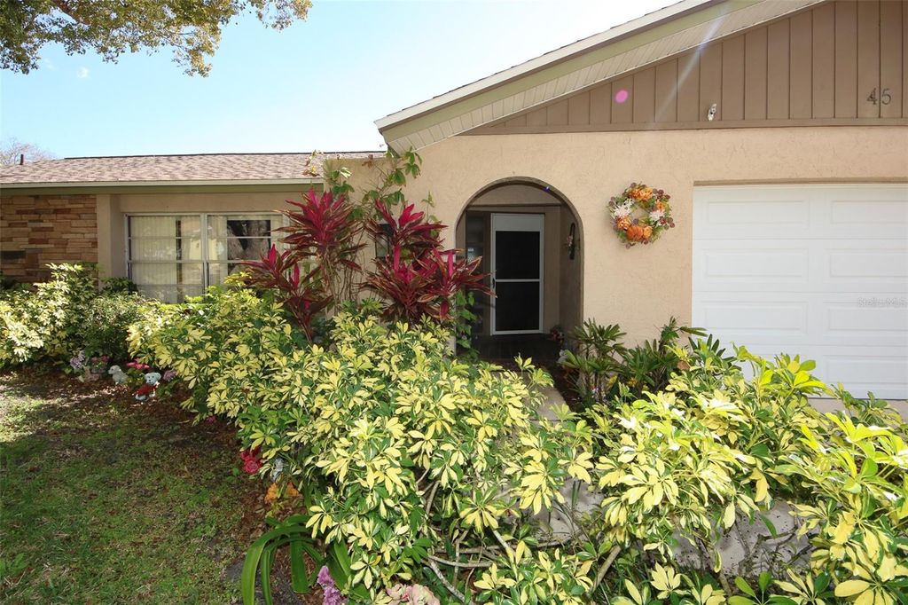 Photo of 45 Turnstone Drive, Safety Harbor, FL 34695 (MLS # W7883602)