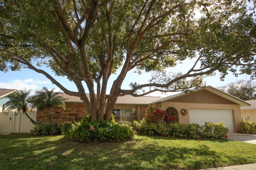 Safety Harbor Pool Home in Prime North Bay Hills Location! 
Welcome to this charming 4-bedroom, 2-bath single-family pool home with a spacious 2-car garage, ideally situated in the highly desirable North Bay Hills community of Safety Harbor. Perched on a hill and located outside the flood zone, this property offers both peace of mind and beautiful curb appeal with mature landscaping and a roof that’s only four years old.
Inside, you’ll find a bright and inviting atmosphere filled with natural light. The kitchen features quality cabinetry and flows comfortably into the living areas, creating a warm and welcoming space for everyday living or entertaining. The home currently inspires creativity, as an artist resides here, giving the interior a vibrant and uplifting feel.
Step outside to your private Florida retreat. A large screened-in porch surrounds the expansive in-ground pool, providing the perfect setting for relaxing, entertaining, and enjoying year-round outdoor living.
This prime location puts you just minutes from Philippe Park, the beautiful waterfront parks of Safety Harbor, and the charming downtown area filled with shops and restaurants. Centrally located within the Tampa Bay area, you’ll also enjoy convenient access to airports, shopping, hospitals, and major commuting routes.
If you’re ready to enjoy the best of the Florida lifestyle in one of Tampa Bay’s most sought-after communities, this exceptional Safety Harbor pool home is ready to welcome you home!