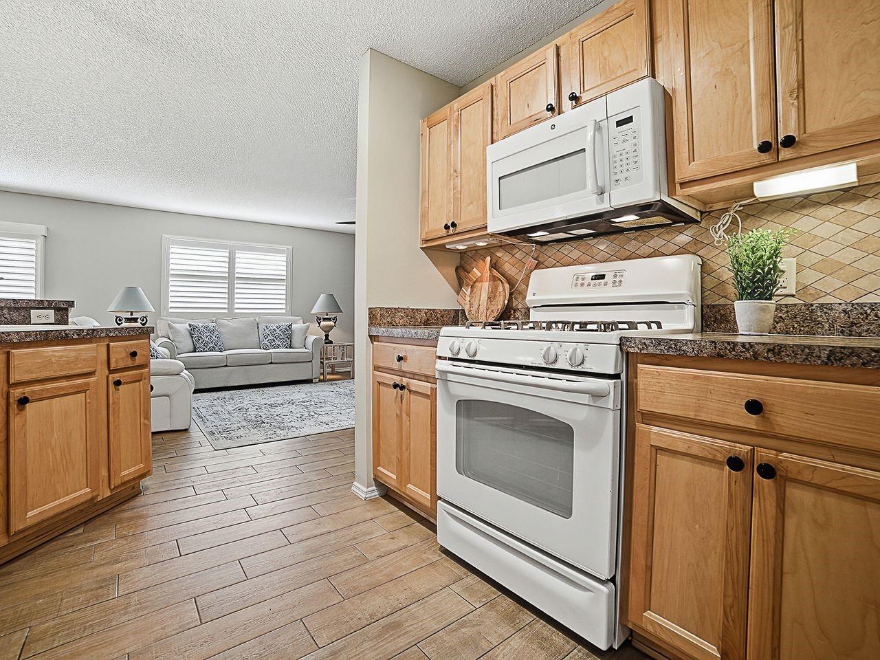 VILLAGES OF SUMTER OLEANDER VILLAS - Residential