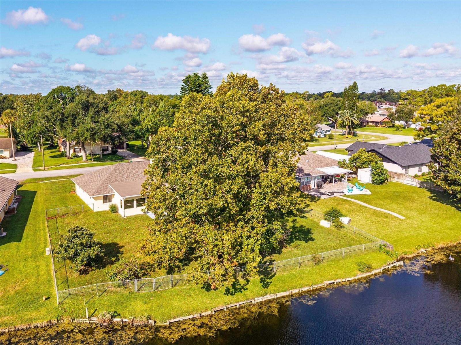 CYPRESS COVE PH 01 REP - Residential