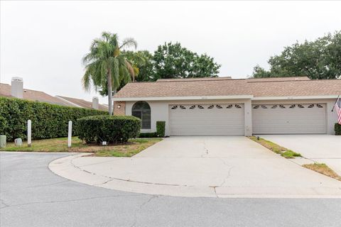 Photo of 4032 Salem Square Court, Palm Harbor, FL 34685 (MLS # TB8384403)