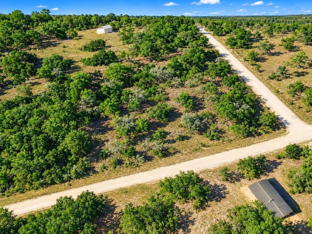 Photo of 21330 SE 71st Street, Morriston, FL 32668 (MLS # TB8563306)